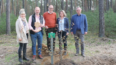 100.000. Baum für den Piepenbrock Forst