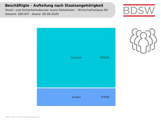 Beschäftigte Aufteilung nach Staatsangehörigkeit, Stand 30 06 2025