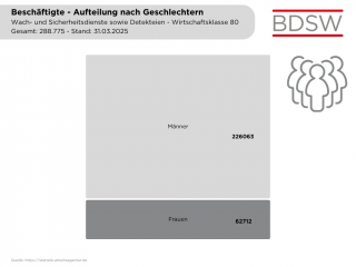 Beschaeftigte Aufteilung nach Geschlechtern Stand 31 03 2025